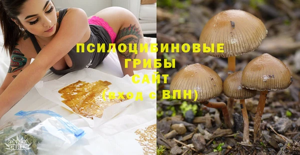 дурь Алзамай